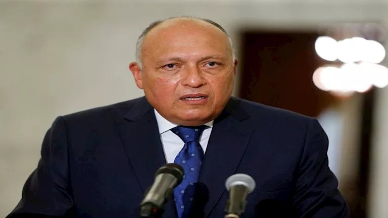 سامح شكري: التفويض المصري لدعم السعودية دفاعي بحت ولا يشمل أي عمل هجومي