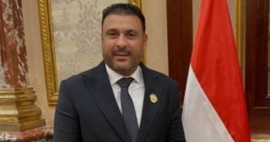 برلمانى: التلاحم الشعبي مع مؤسسات الدولة يكسر موجات التشكيك الممنهج