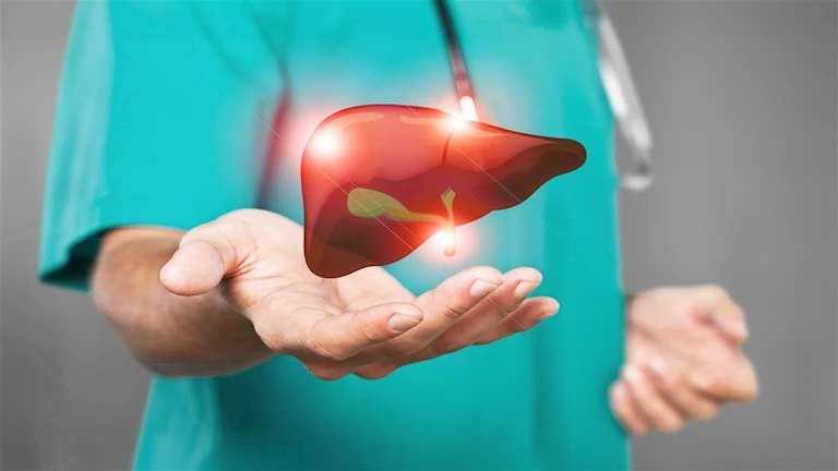 طبيبة تحذر من أطعمة ومشروبات تهدد الكبد.. أحدها يتناوله كثيرون يوميا