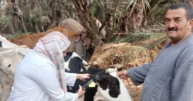 غلاف انطلاق الحملة القومية للتحصين ضد الأمراض الوبائية للأبقار والأغنام بالجيزة